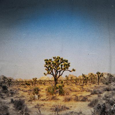 Twentynine Palms By Austin Harms, INTRN's cover