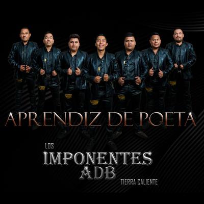 Los Imponentes ADB Tierra Caliente's cover