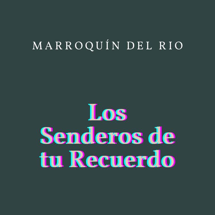 Marroquín del rio's avatar image