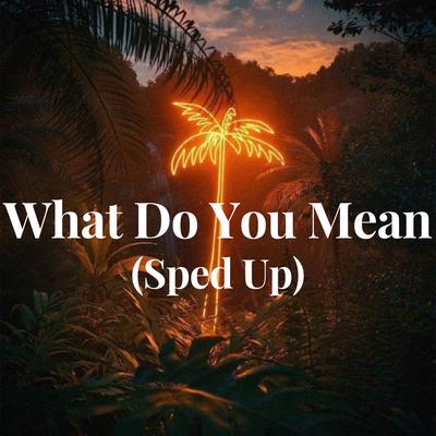 What Do You Mean (Sped Up) By Justin Bieber's cover