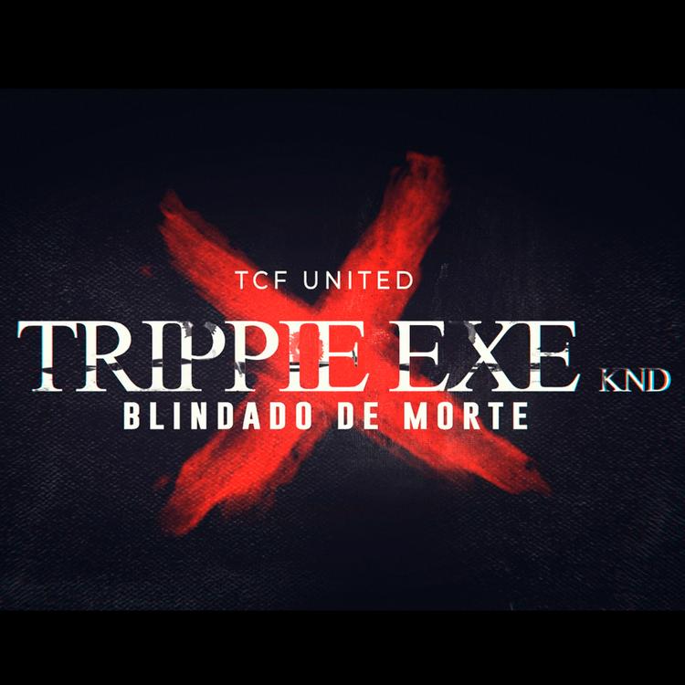 Trippie Exe Knd's avatar image