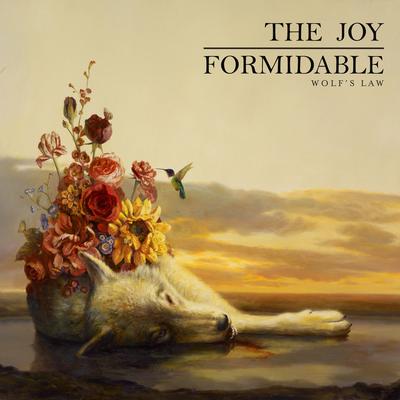 Little Blimp By The Joy Formidable's cover