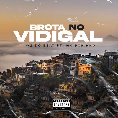 Brota no Vidigal (feat. Mc Boninho)'s cover