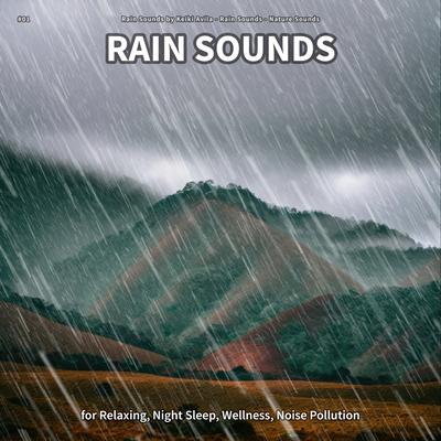 Rain Sounds, Pt. 77's cover