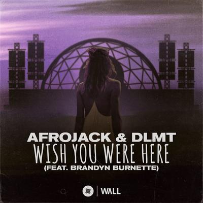 Wish You Were Here (feat. Brandyn Burnette) By AFROJACK, DLMT, Brandyn Burnette 's cover