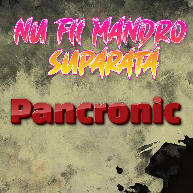 Pancronic's avatar image