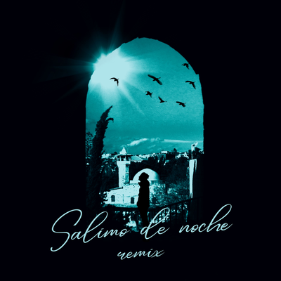 Salimo De Noche Remix's cover