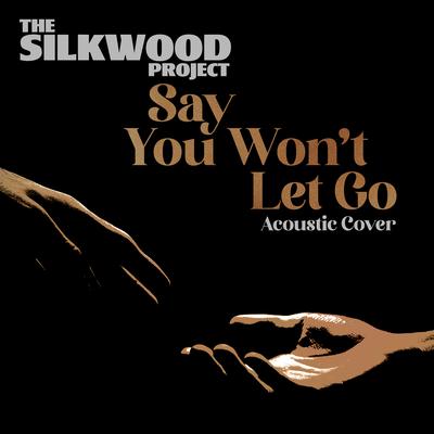 Say You Won't Let Go (Acoustic Cover) By The Silkwood Project's cover