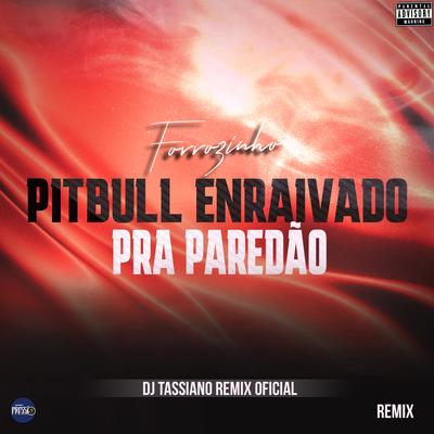 Forrozinho Pitbull Enraivado pra Paredão's cover
