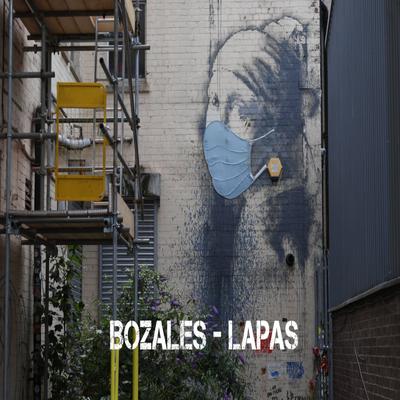 Bozales's cover