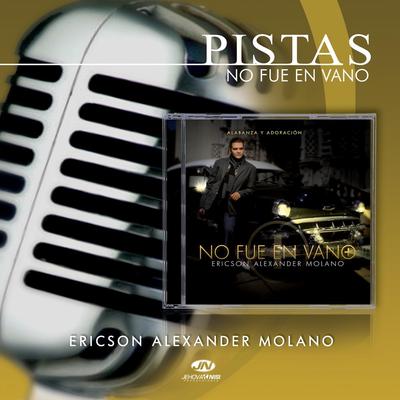 Pistas No Fue en Vano's cover