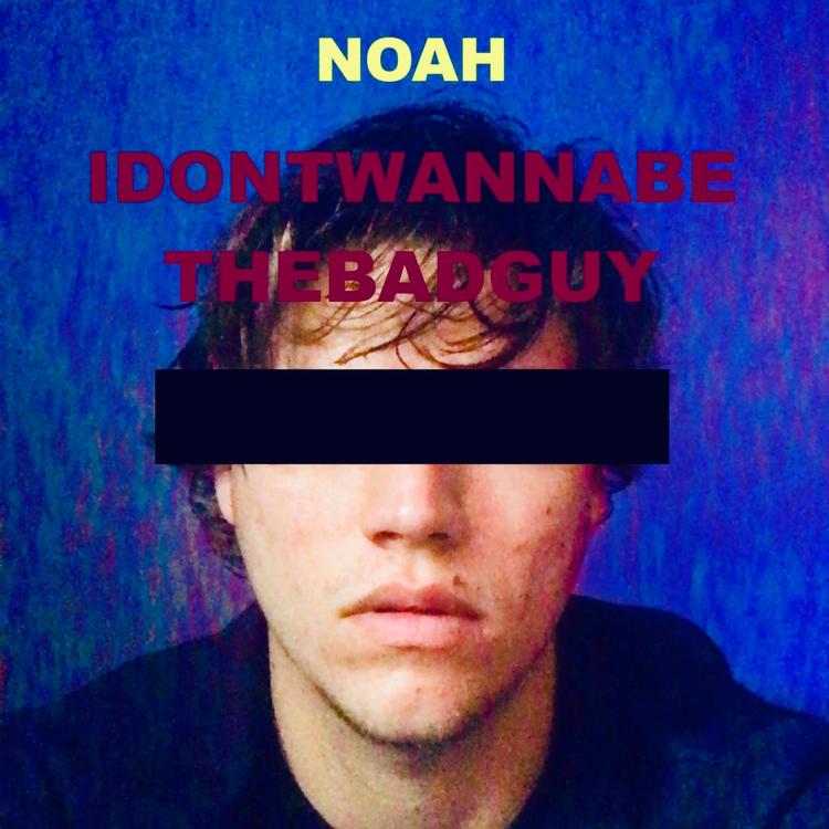 Noah Plourde's avatar image