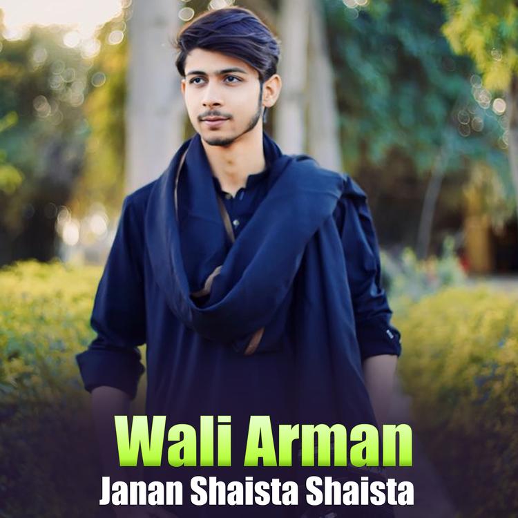 Wali Arman's avatar image