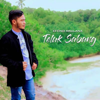 TELUK SABANG's cover