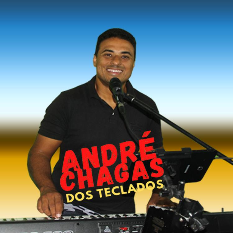ANDRE CHAGAS's avatar image
