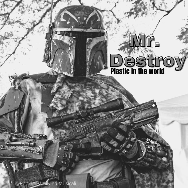 Mr. Destroy's avatar image