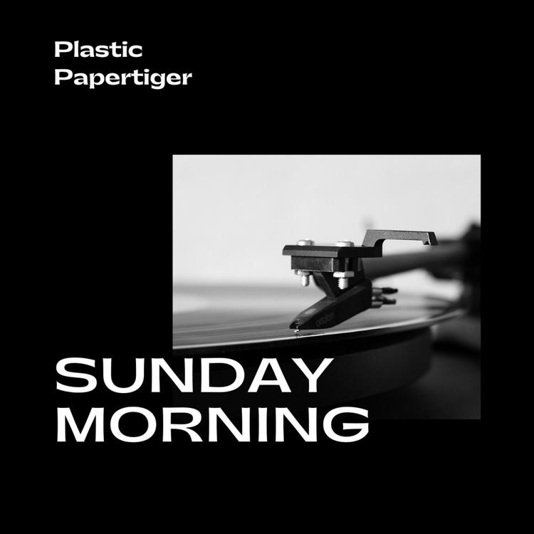 Plastic Papertiger's avatar image