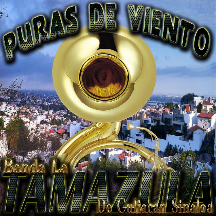 Banda La Tamazula De Culiacan Sinaloa's avatar image