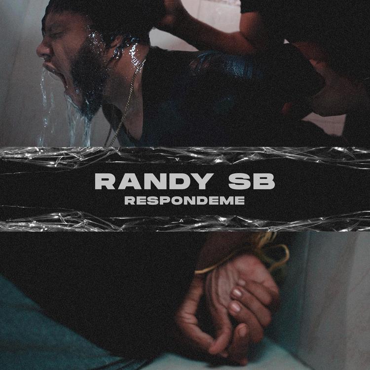 Randy SB's avatar image