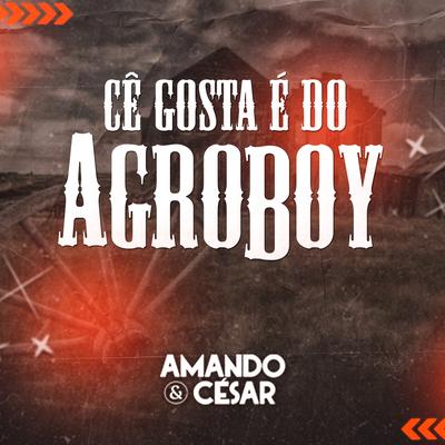 Cê Gosta É do Agroboy By Amando e César's cover