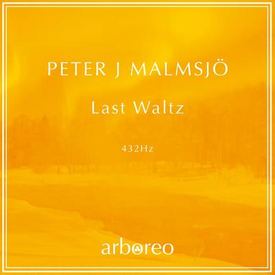 Last Waltz By Peter J. Malmsjö's cover