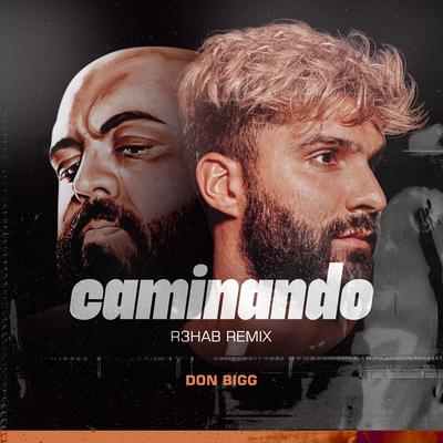 Caminando (R3HAB Remix) By Don Bigg, R3HAB's cover