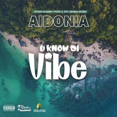 U Know Di Vibe By Aidonia's cover