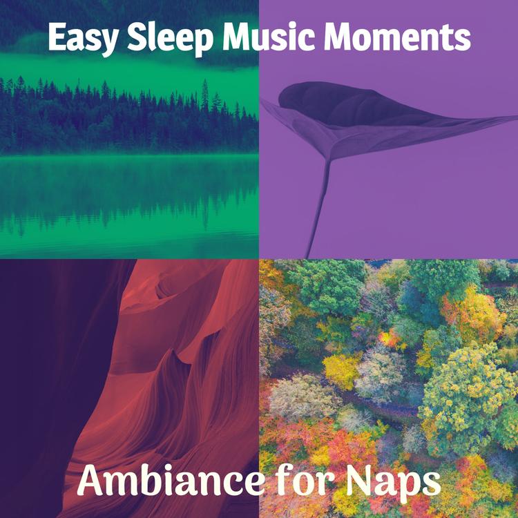 Easy Sleep Music Moments's avatar image