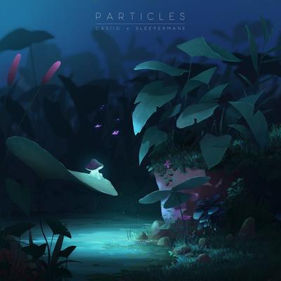 Particles By Casiio, Sleepermane's cover
