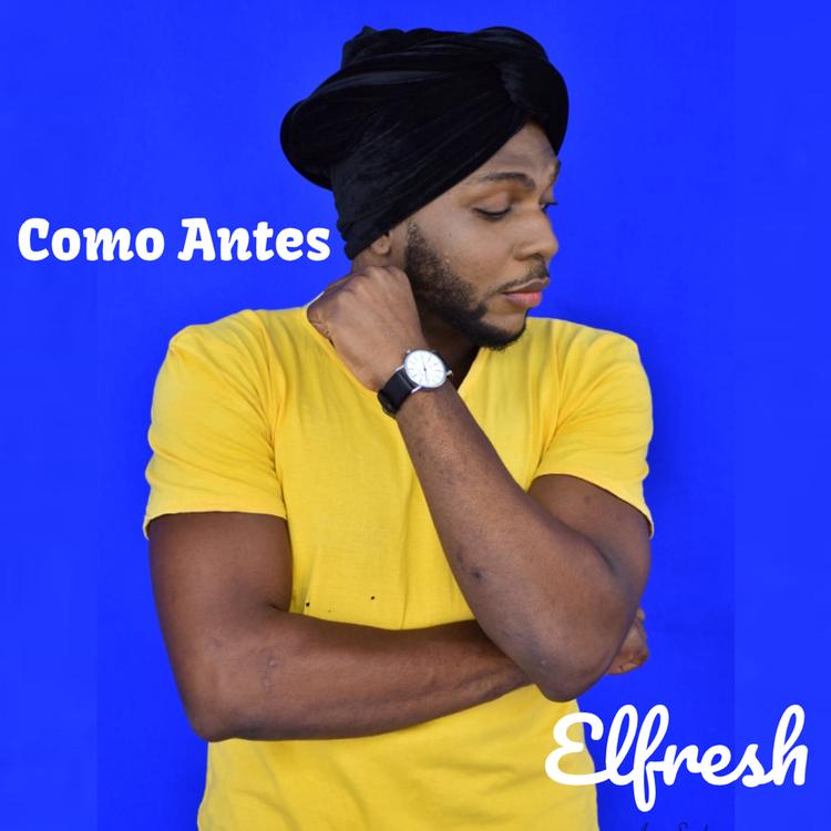 Elfresh's avatar image