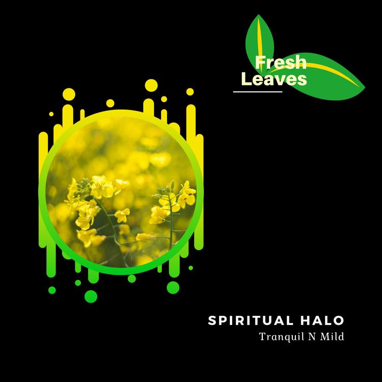 Spiritual Halo's avatar image