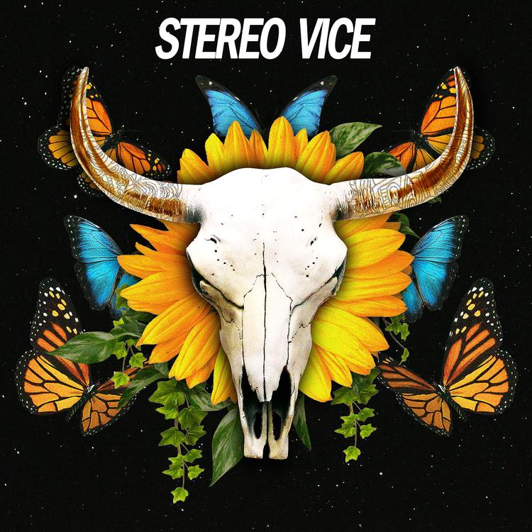 STEREO VICE's avatar image