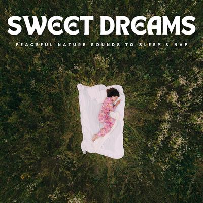 Sweet Dreams: Peaceful Nature Sounds To Sleep & Nap's cover