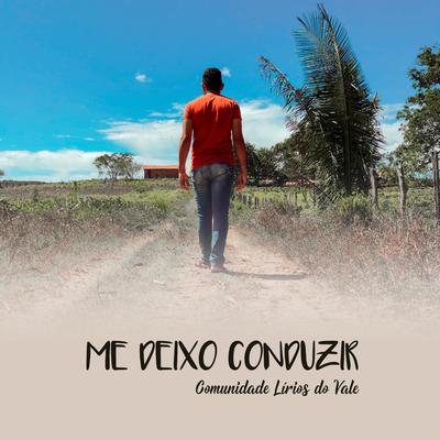 Me Deixo Conduzir's cover