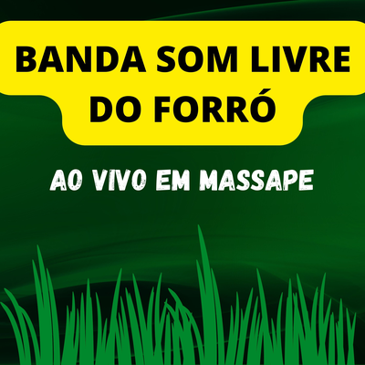Banda Som Livre do Forró's cover