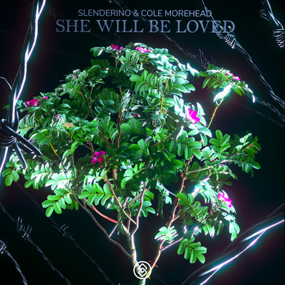 She Will Be Loved By Slenderino, Cole Morehead's cover