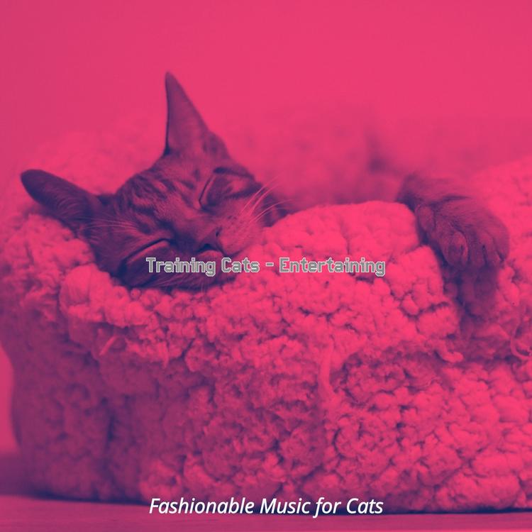 Fashionable Music for Cats's avatar image