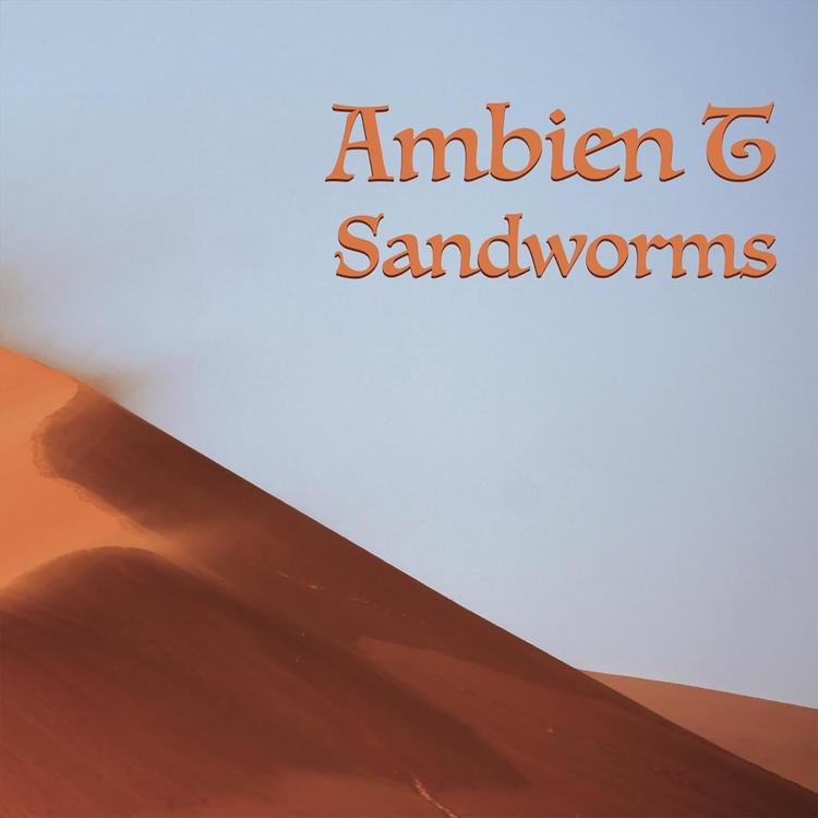 Ambien T's avatar image