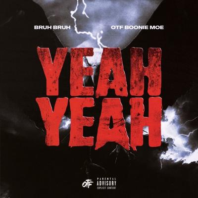 Yeah Yeah's cover