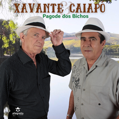 Boi Preto Mandingueiro By Xavante & Caiapó's cover
