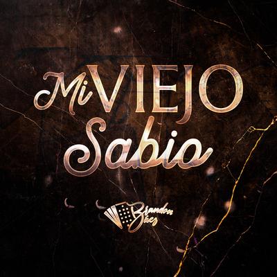 Mi Viejo Sabio's cover