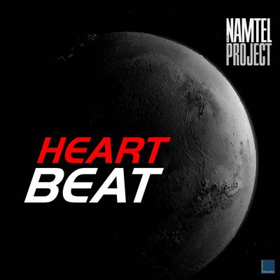 Never Again Lose Your Heart By Rudy Namtel Project's cover