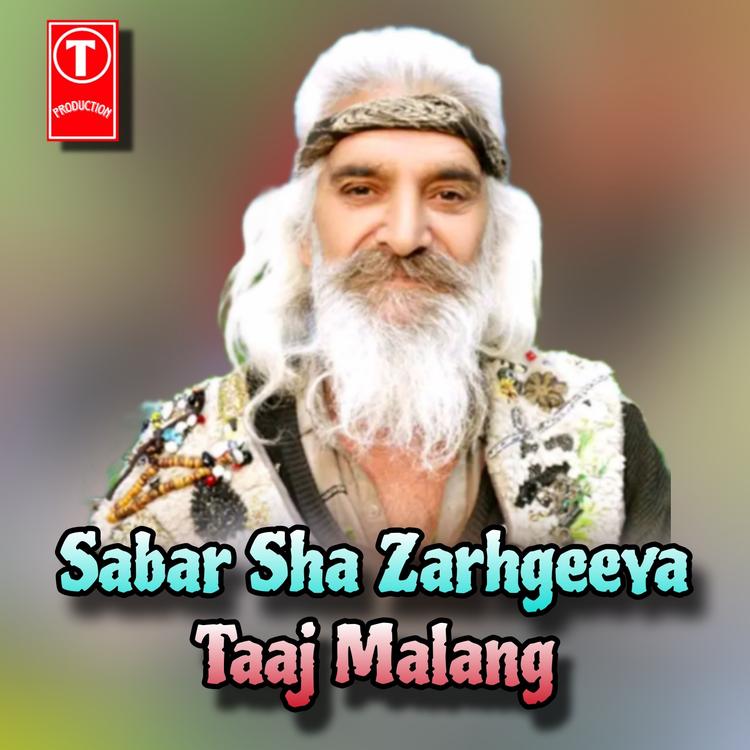 Taaj Malang's avatar image