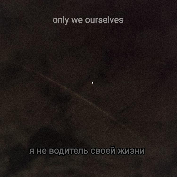 only we ourselves's avatar image