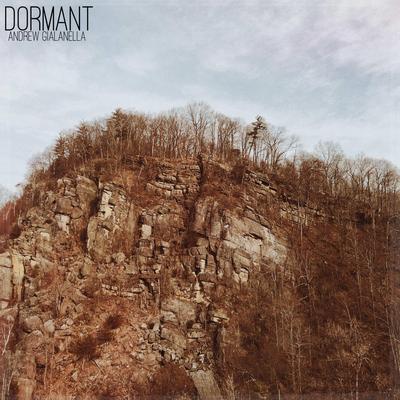 Dormant By Andrew Gialanella's cover