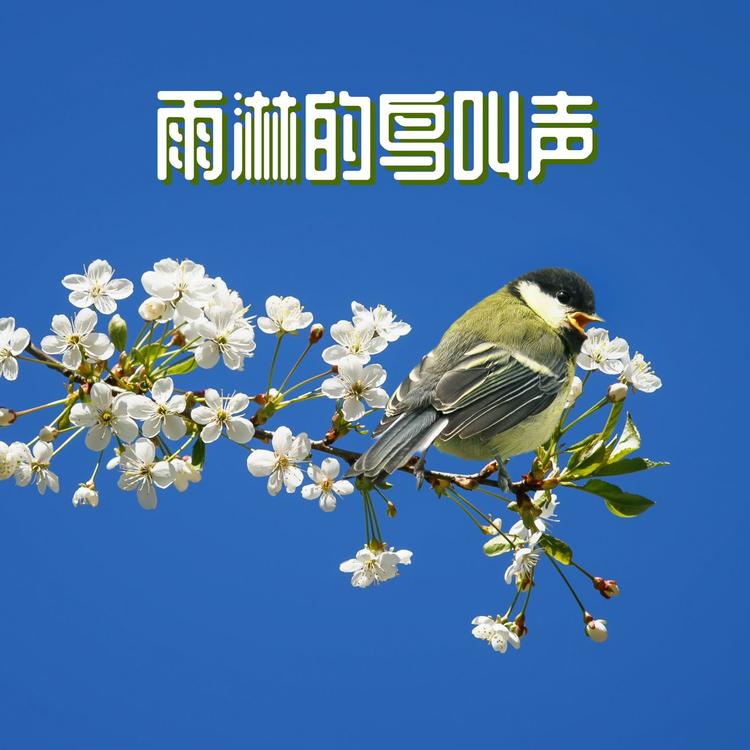 鸟语花香's avatar image
