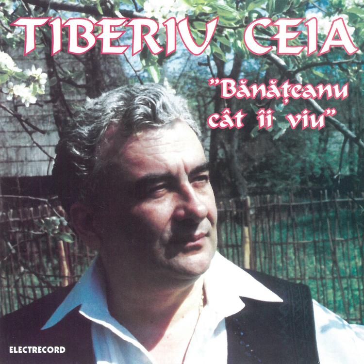 Tiberiu Ceia's avatar image