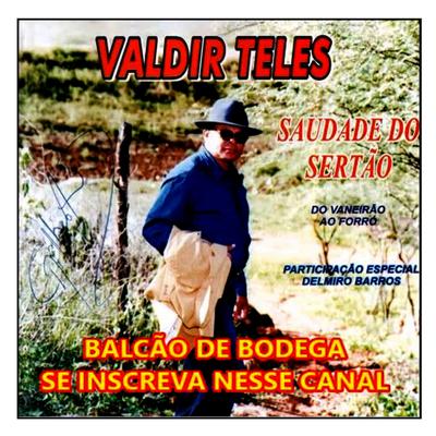 Minha vida de vaqueiro - VALDIR TELES's cover