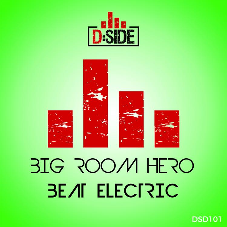 Big Room Hero's avatar image
