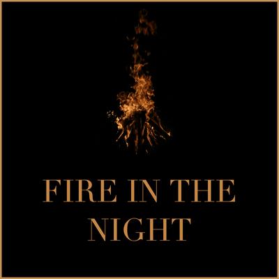 Fire in the Night By Michael Lane's cover